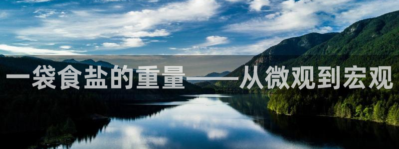 威九国际官网版