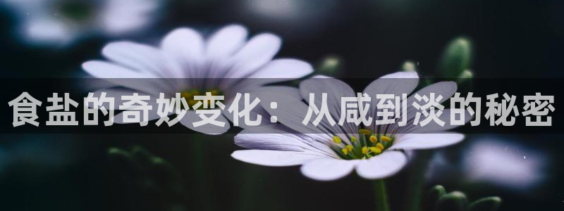 威九国际网站进入客服中心怎么退出
