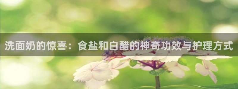威九国际app入口在哪