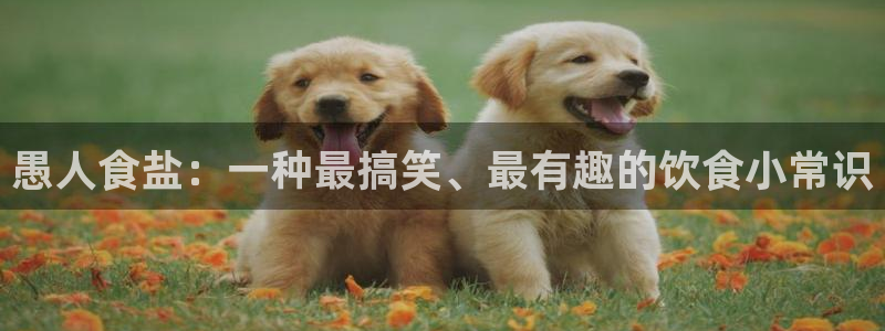 威九国际