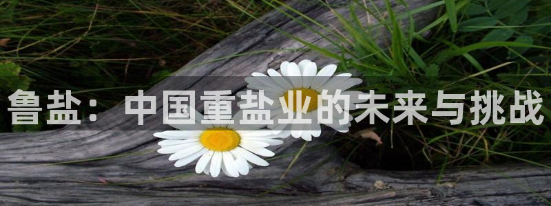 威九国际com