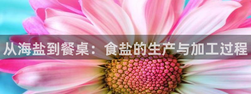 保定威九网络科技有限公司是干嘛的