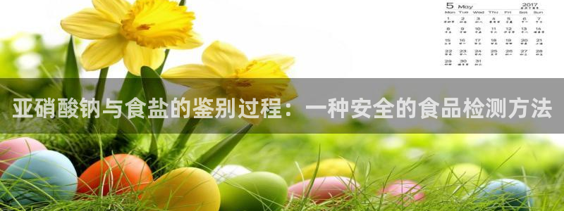 威九国际视频传媒招聘