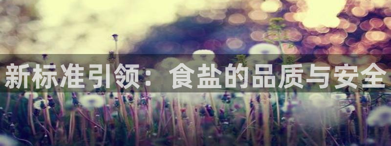 威九国际app无法登陆怎么回事