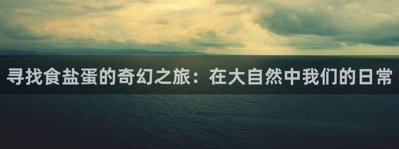 威九国际app大全下载安装