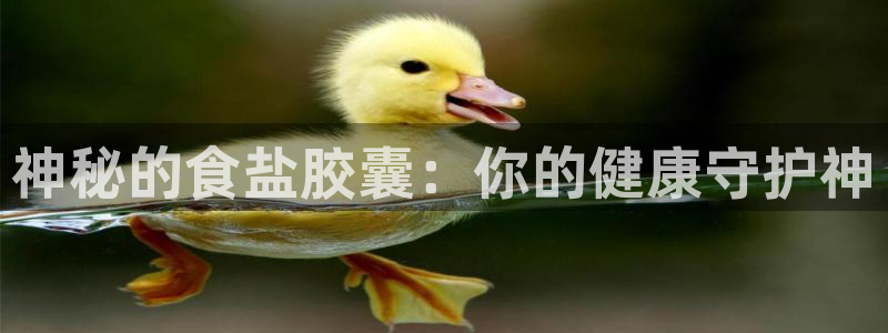 威九国际网站官网
