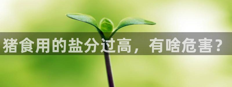 威九国际网站安全吗