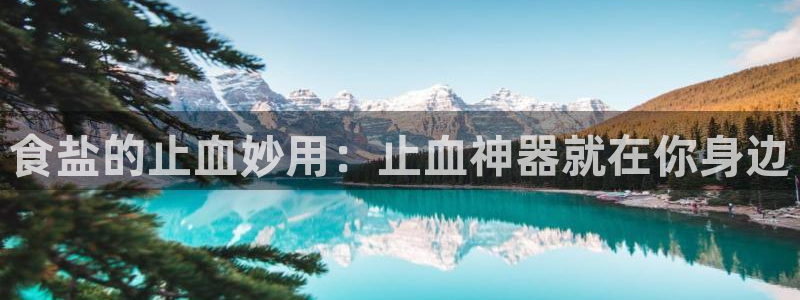 78mapp威九国际一