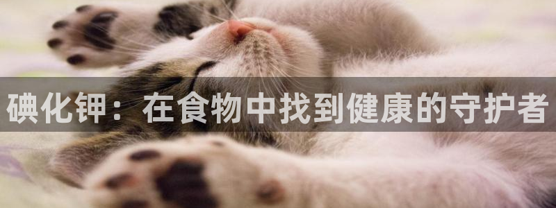 威九国际精免费下载
