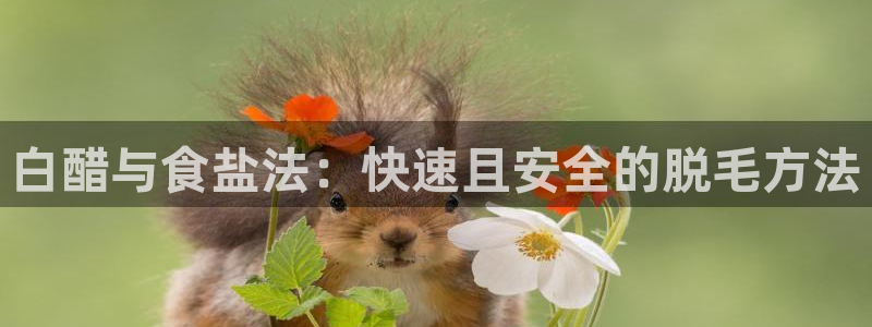 威九国际APP