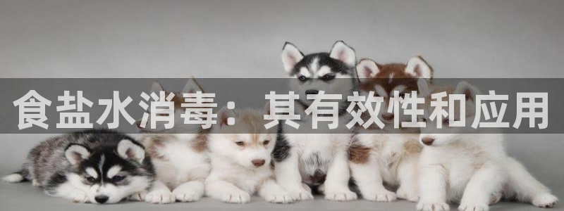 威九国际官网登录入口网址