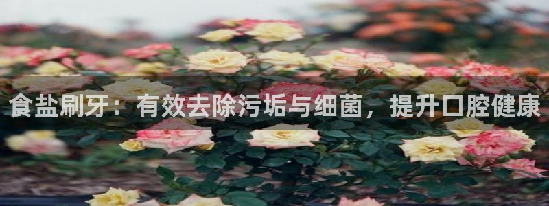 威九国际78mB官网版