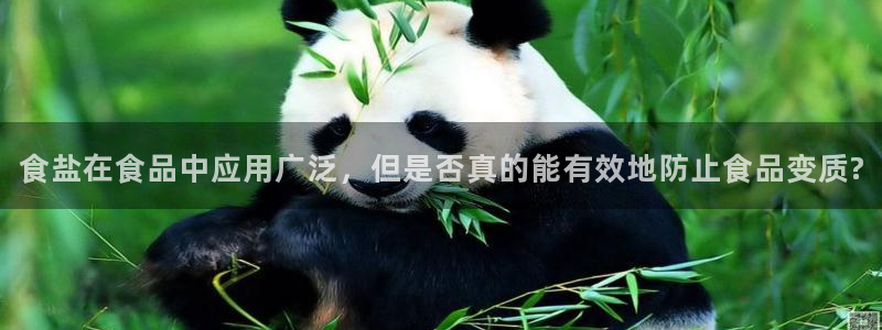 威九国际成长模式怎么样