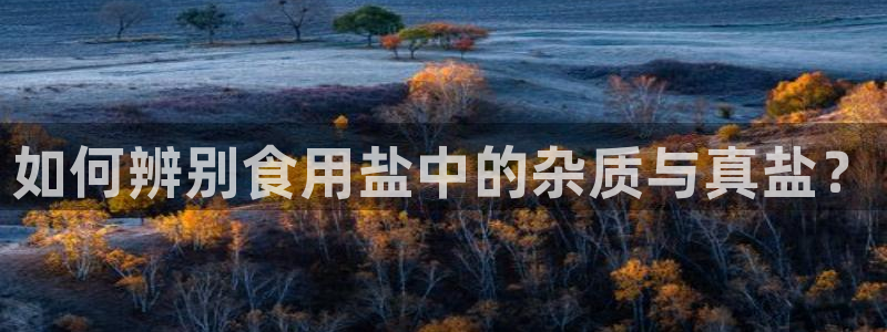 威九国际合作伙伴有哪些