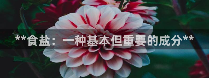 威九国际父亲的友人