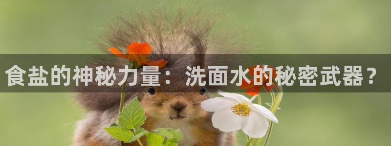 威九国际66m免费版